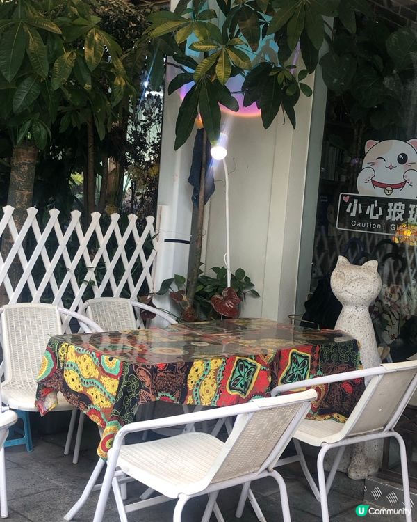 深圳荷蘭花卉小鎮cafe｜貓主子陪飲啡 vs 花海秘境下午茶