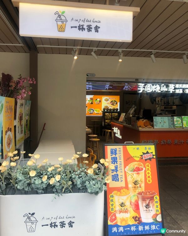 深圳荷蘭花卉小鎮cafe｜貓主子陪飲啡 vs 花海秘境下午茶