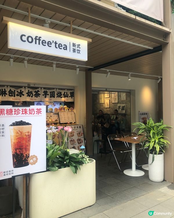 深圳荷蘭花卉小鎮cafe｜貓主子陪飲啡 vs 花海秘境下午茶