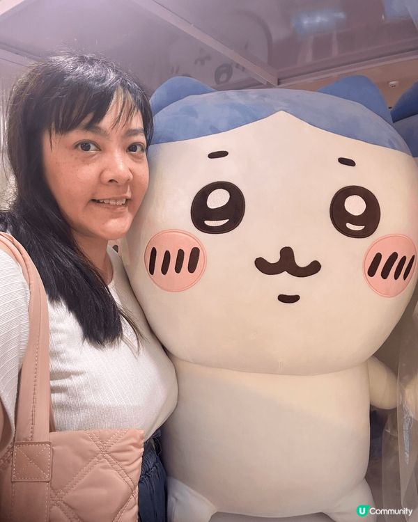 Chikawa in. 又一城 