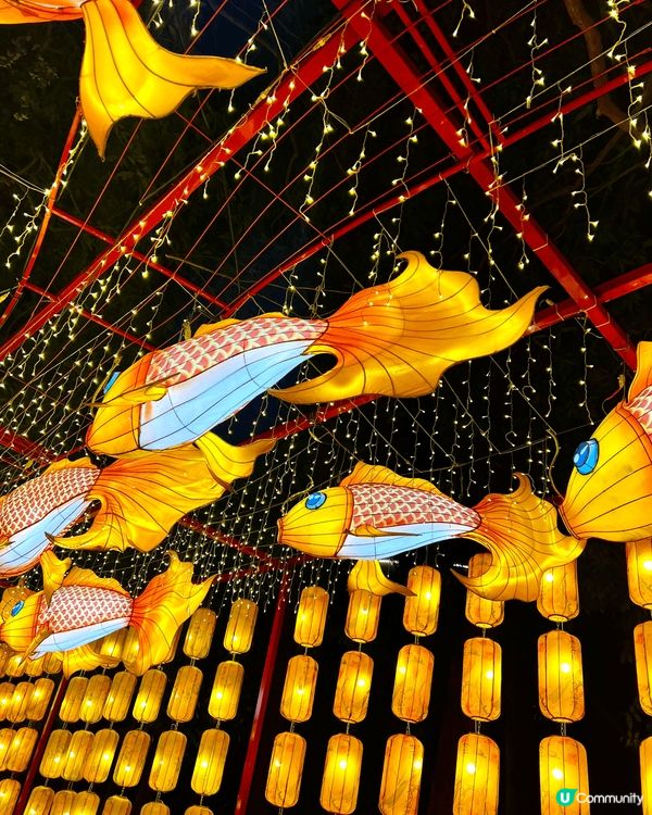 珠海嘅❣︎唐家古鎮❣︎攪嘅燈會真係超靚😍啲燈飾仲識郁架🤩🤩🤩...