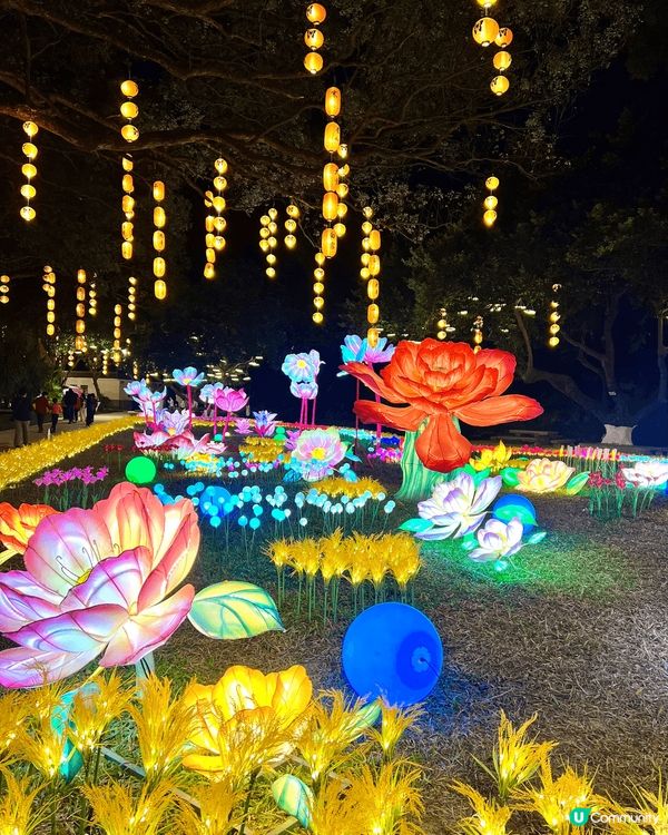 珠海嘅❣︎唐家古鎮❣︎攪嘅燈會真係超靚😍啲燈飾仲識郁架🤩🤩🤩...