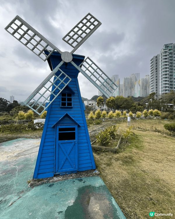 春季梗係要去行吓動物園啦，入面又有草泥馬，又有鴨仔，仲可以坐...
