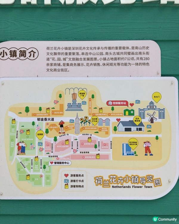 深圳荷蘭花卉小鎮cafe｜貓主子陪飲啡 vs 花海秘境下午茶