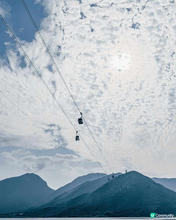 東涌櫻花園的櫻花🌸已經開始綻放,但目前人潮較多,櫻花的數量也...