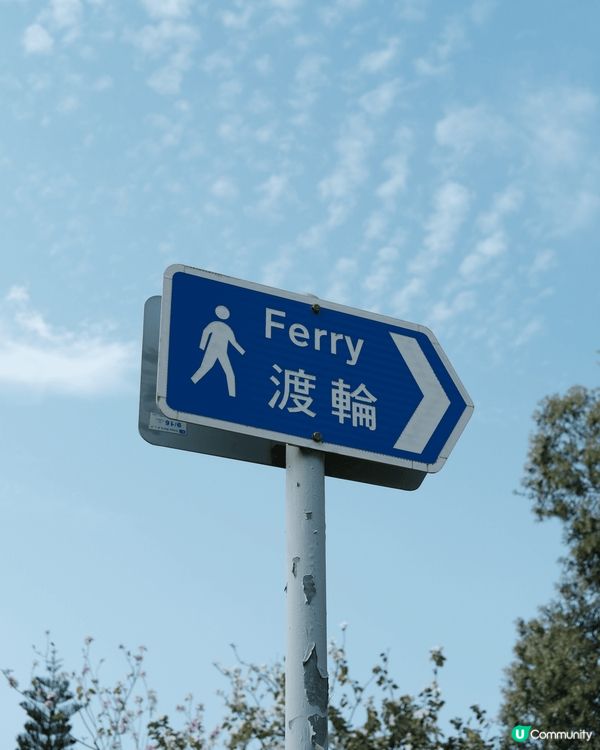 東涌櫻花園的櫻花🌸已經開始綻放,但目前人潮較多,櫻花的數量也...