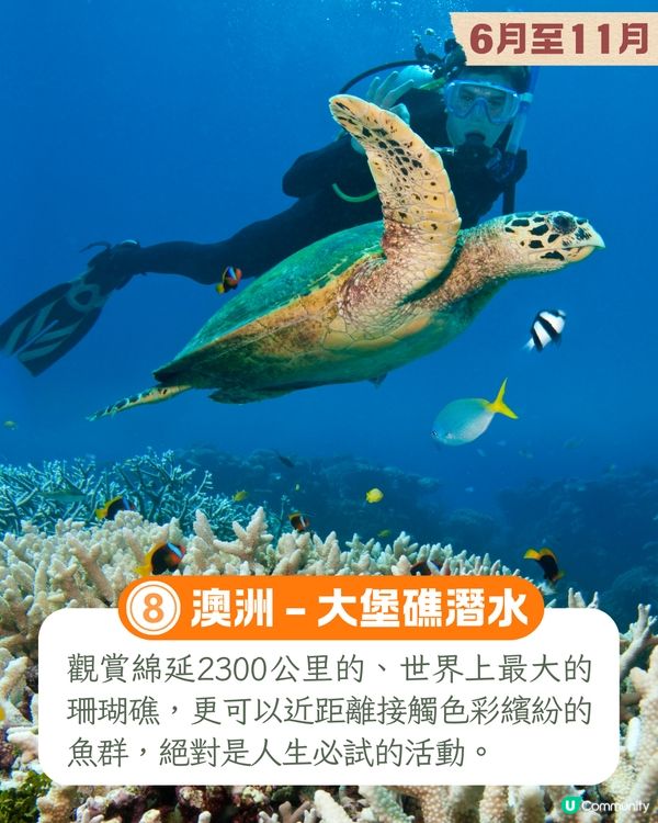 10大人生必試旅遊體驗📷墨西哥亡靈節/南極睇企鵝/死海漂浮🚢