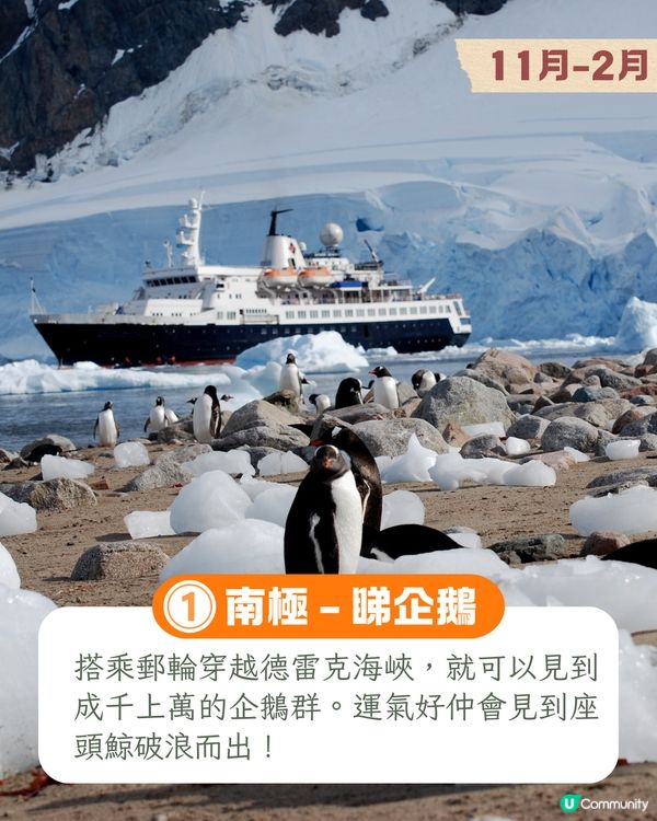 10大人生必試旅遊體驗📷墨西哥亡靈節/南極睇企鵝/死海漂浮🚢