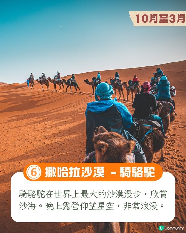 10大人生必試旅遊體驗📷墨西哥亡靈節/南極睇企鵝/死海漂浮🚢