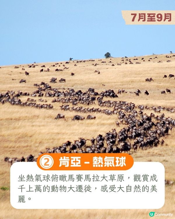 10大人生必試旅遊體驗📷墨西哥亡靈節/南極睇企鵝/死海漂浮🚢