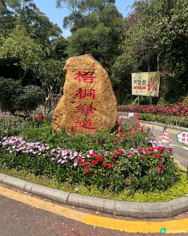 深圳梧桐綠道是一條美麗的城市綠道，位於深圳市，旨在提供一個舒...