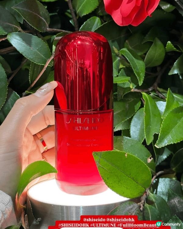 ）山茶花為日本殿堂級護膚品牌 品牌標誌，標誌