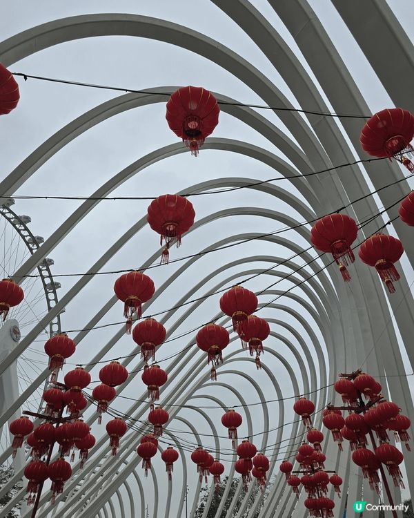 深圳的一天遊，當日食了很多美食又玩了摩天輪，看到美麗的深圳景...