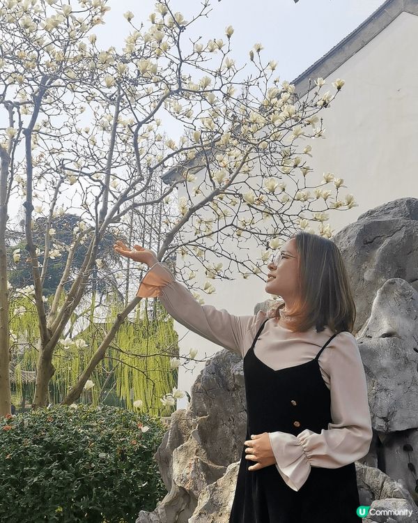 3月初的南京進入花季，這次去了冷門園林-愚園。18元門票，可...