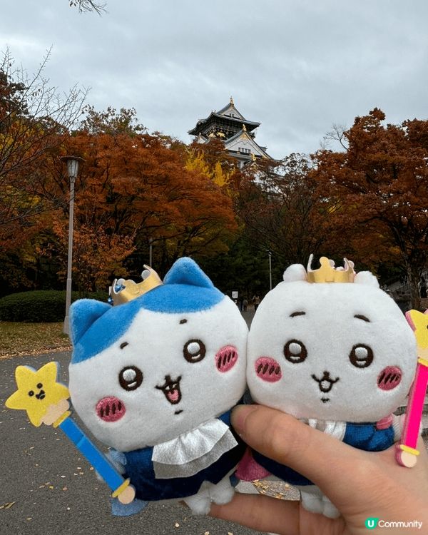 入chiikawa坑後第一次去日本專門店，那次旅程我去了京都...