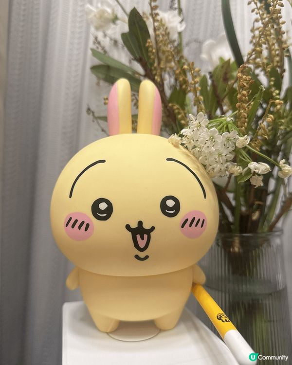 日本旅行時拍的照，第一張是在日本購買的兔兔。第二張是大內宿當...