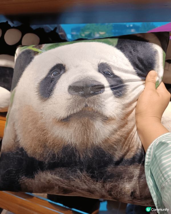 熊貓館值得打卡，無論見到真熊貓定假熊猫，大家都一樣咁興奮。
