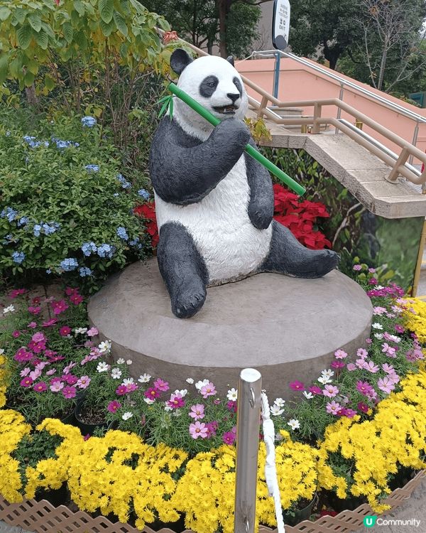 熊貓館值得打卡，無論見到真熊貓定假熊猫，大家都一樣咁興奮。
