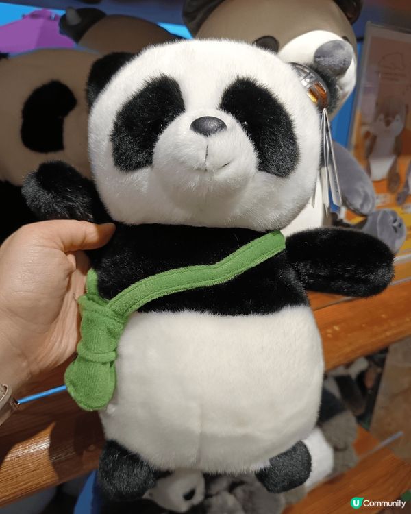 熊貓館值得打卡，無論見到真熊貓定假熊猫，大家都一樣咁興奮。
