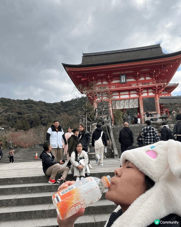 去年12月底自己去日本，去左清水寺，伏見稻荷大社，仲有仙台溜...