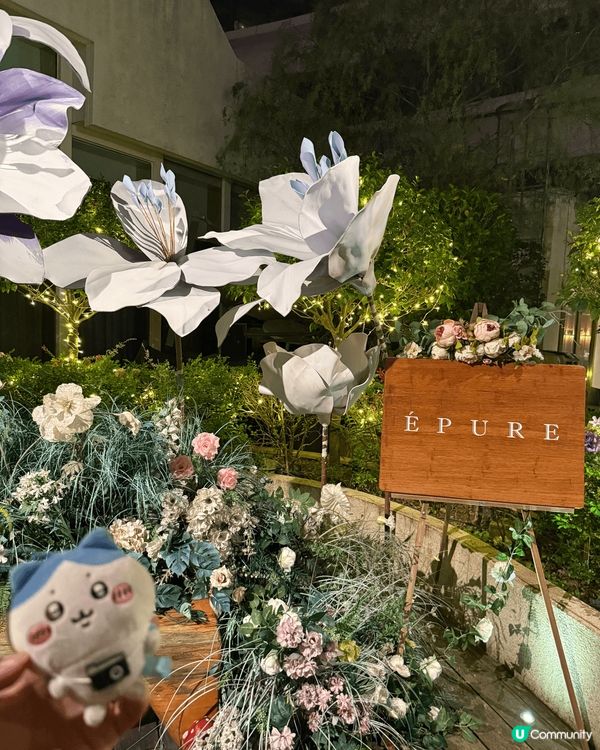 帶著小八出行，走訪城市中的綠洲、到雪地、到機場。一起玩樂，感...