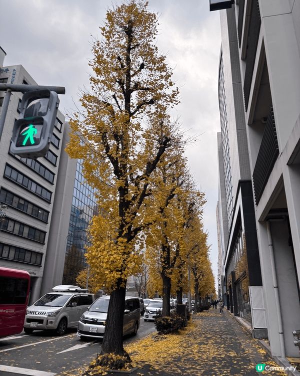 福岡博多 係呢個塔前打卡 好靚 