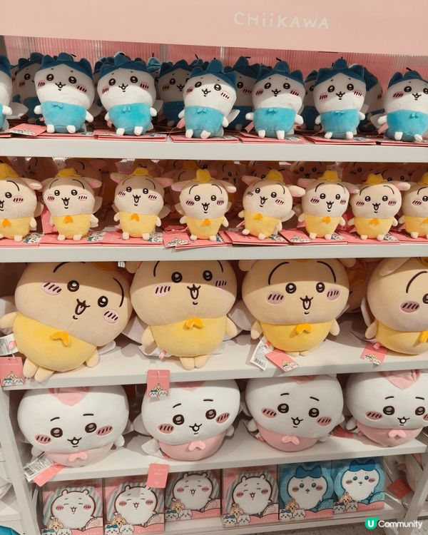 #嗚啦吔哈  招商花園城 ，四海地鐵站，南山區近深圳灣口岸，...