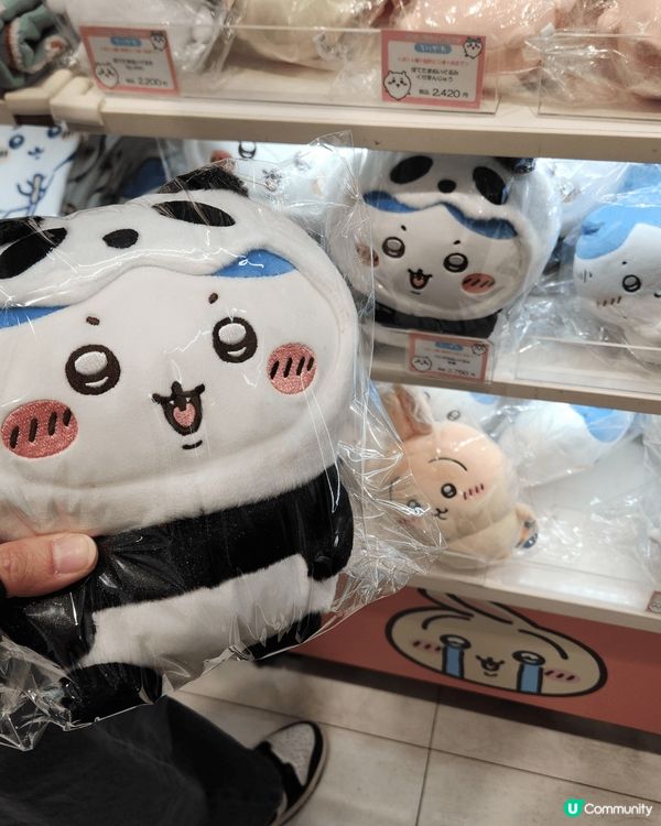 日本北海道之旅遇見#嗚啦吔哈 **