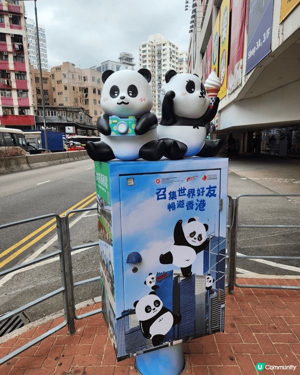 發現郵筒又變身可愛熊貓🐼！