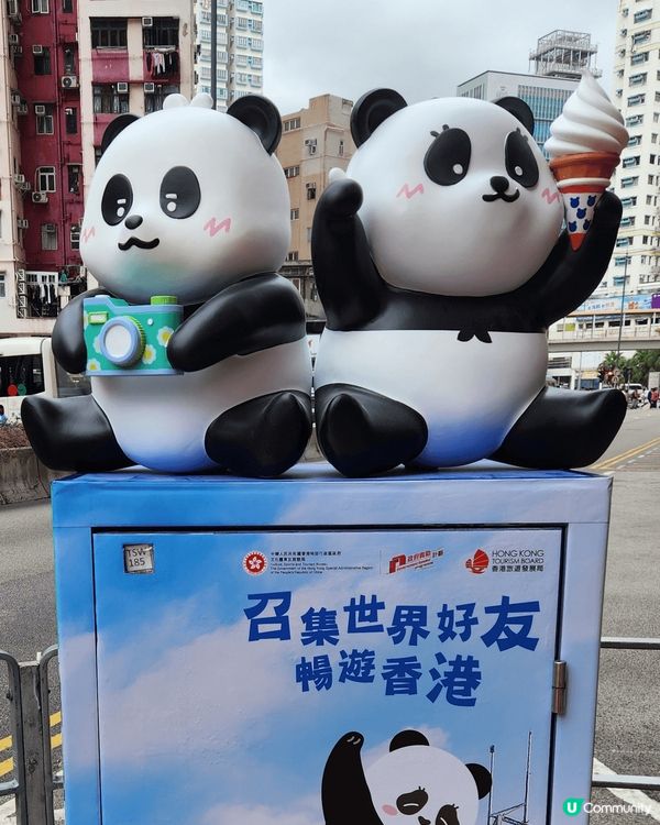 發現郵筒又變身可愛熊貓🐼！