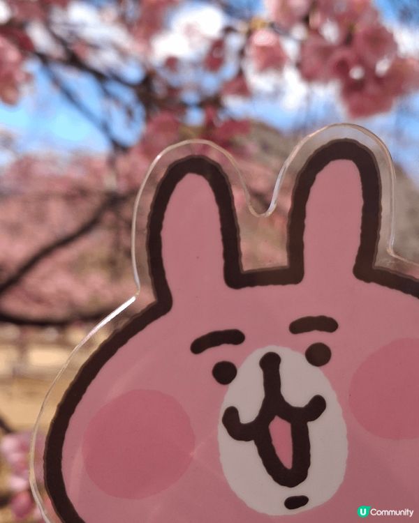 2025年第一個solo trip，選擇前往東京旅遊，因為沒...