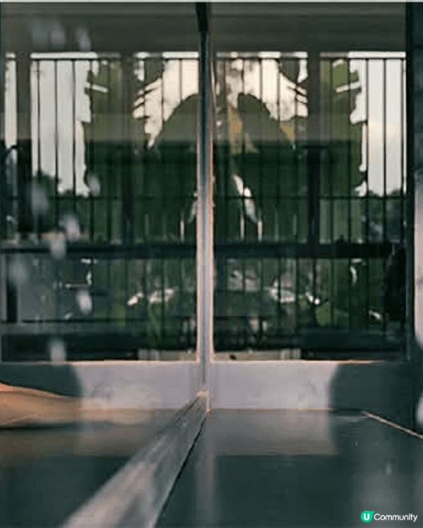 在今年的提名電影中，《爸爸》這部作品無疑給我留下了深刻的印象...