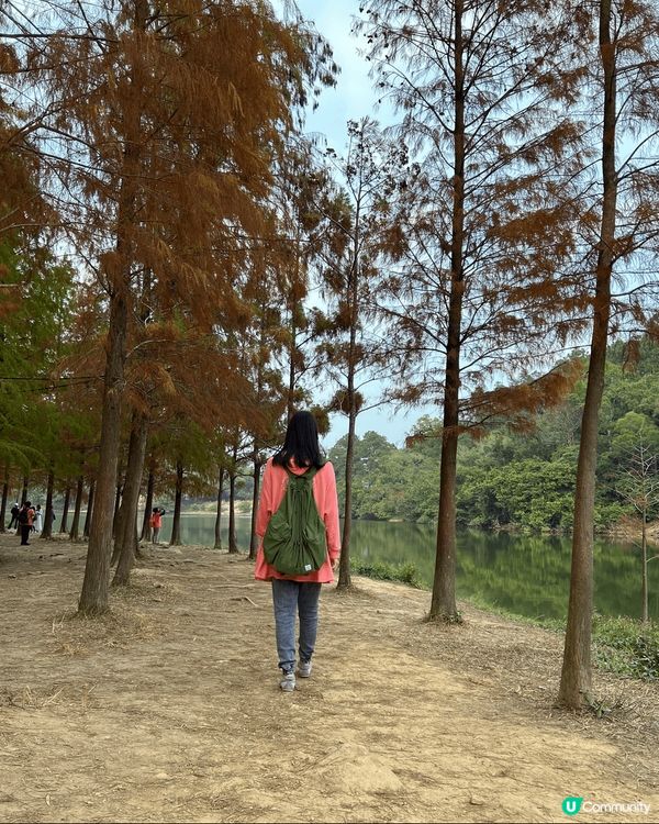 1) 南丫島風采發電站是南丫島必定打卡點