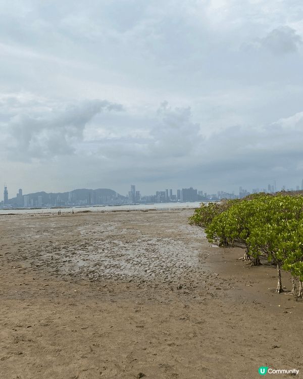 參加義工活動來陪老人家的齊聽下下白泥既生態導賞，環境漂亮而且...