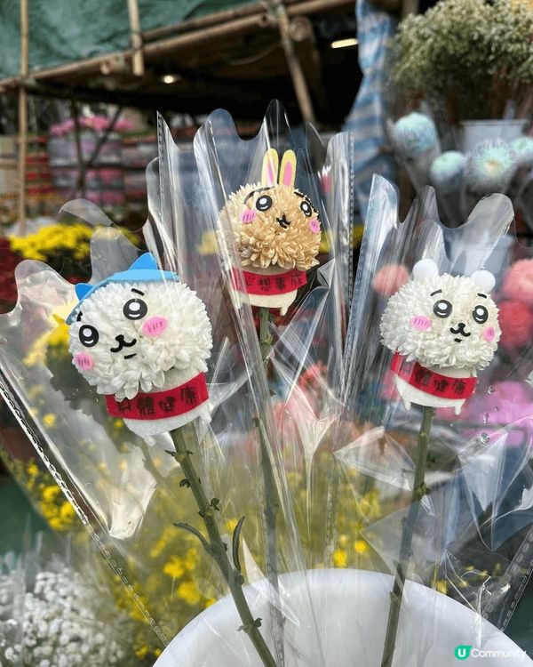 Chikawa當中最愛兔哥，雖然成日只聽到佢叫嗚啦嗚啦，好似...