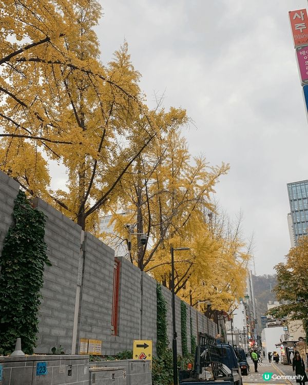 分別為台北、日本及韓國，夏天春天及秋天的景色，非常漂亮。