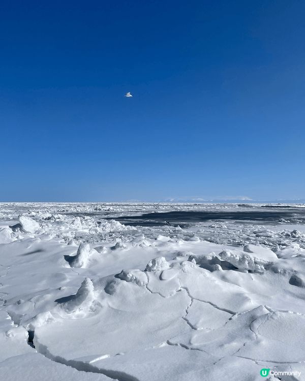 冬天北海道雪景浪漫100分♥️❄️