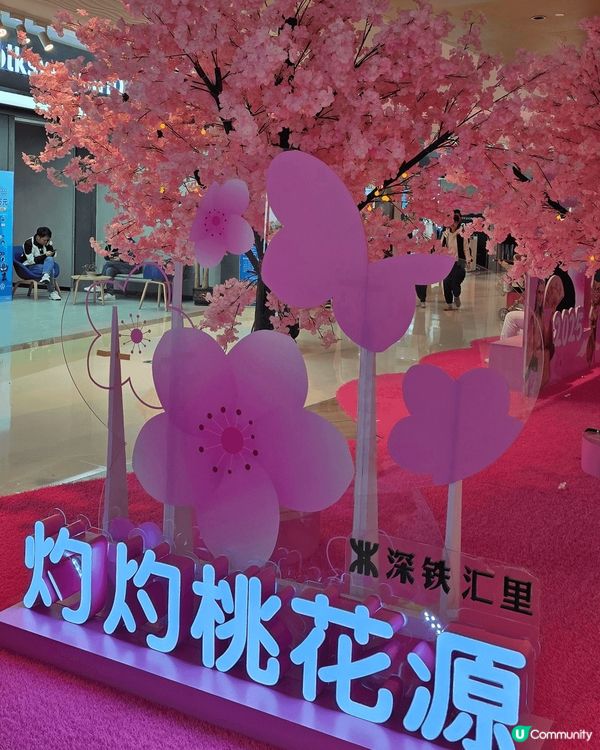 深圳深鐵汇里，有打卡點，又有美食。渝月川菜，酸菜魚好好味，魚...