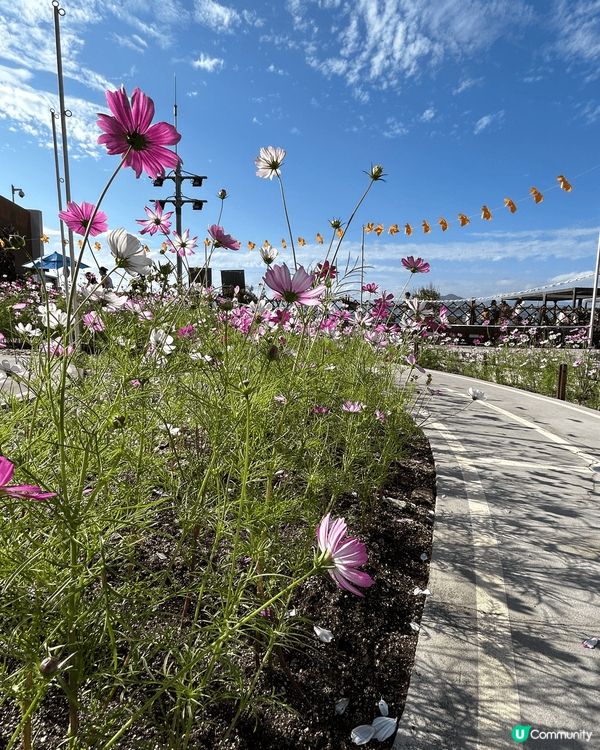 堅尼地城海濱打卡📸 隱世靚景🤫