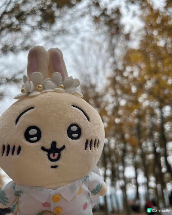 呢排天氣咁好，最啱就係去行山，帶埋兔兔影返輯靚相先😍