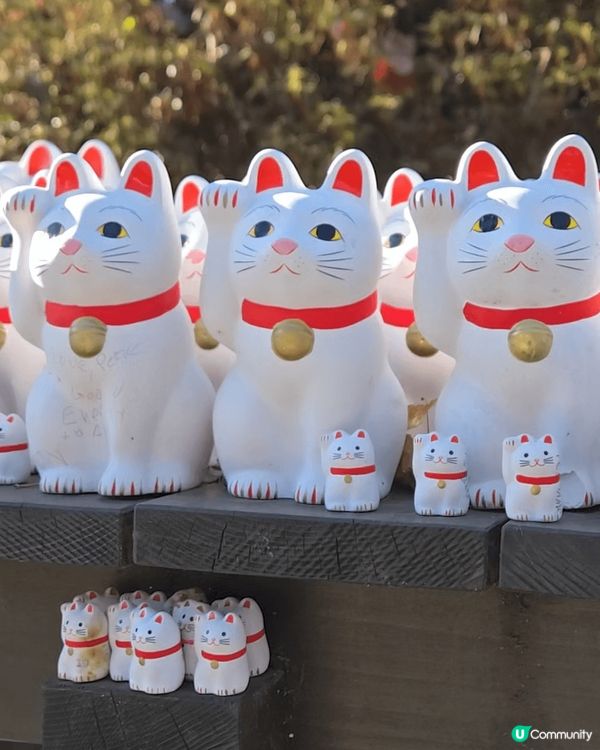 東京快閃之旅真係好正呀！😍  去咗豪德寺睇招財貓🐱，數量多到...