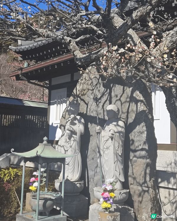 東京快閃之旅真係好正呀！😍  去咗豪德寺睇招財貓🐱，數量多到...