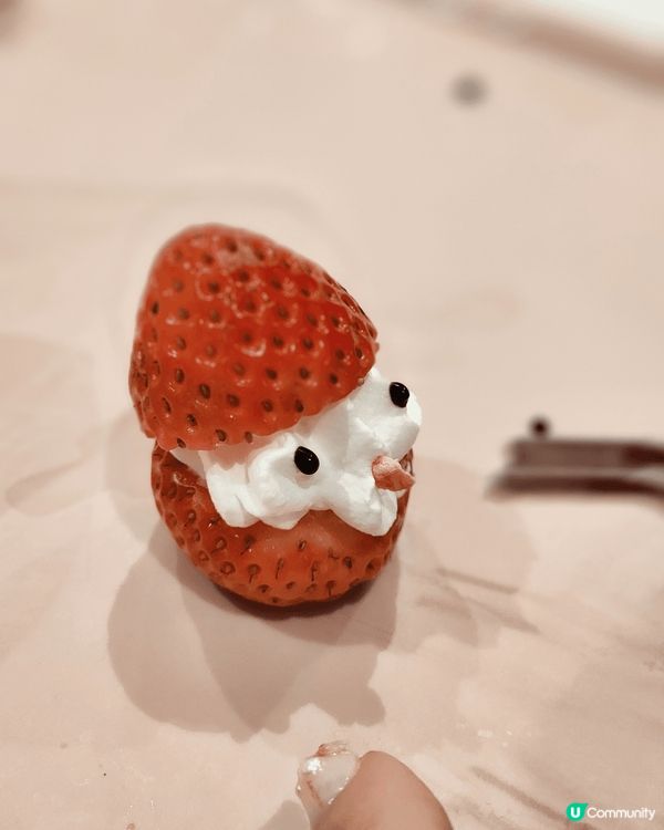 放假要諗節目好煩惱 ？