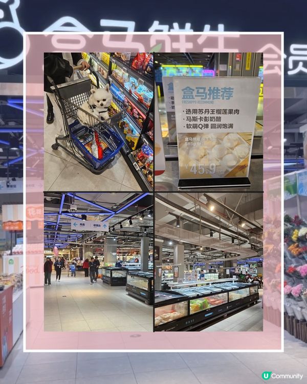 [蓮塘] 買嘢買到去盒馬鮮生會員店🤨 唔係會員買唔買得?