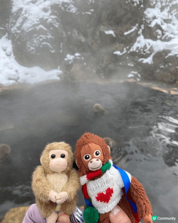 Yo！今天跟大家分享一個超特別的地方——地獄谷野猿公苑，也就...