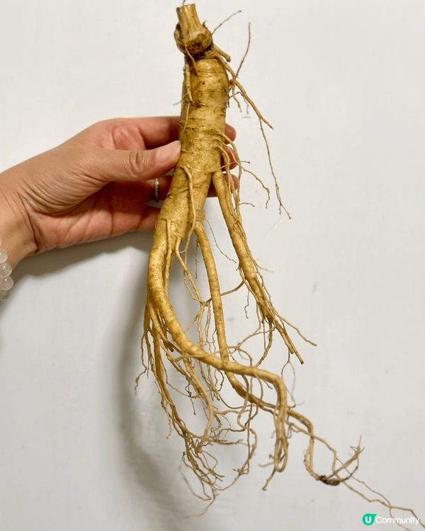 釜山必買攻略｜