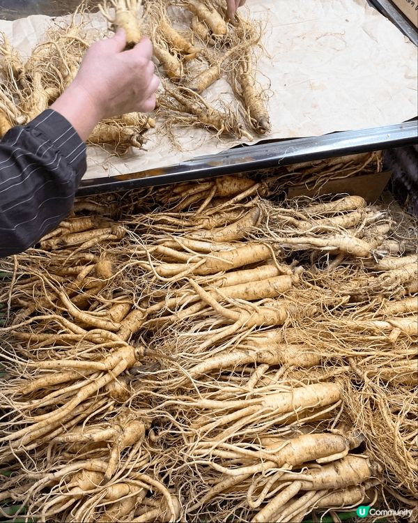 釜山必買攻略｜