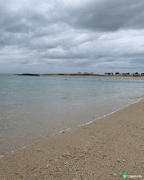 最近去咗沖繩豐崎玩 嗰度比瀬長島少人 但一樣有好靚海灘🏝️又...