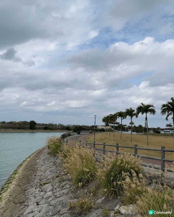 最近去咗沖繩豐崎玩 嗰度比瀬長島少人 但一樣有好靚海灘🏝️又...