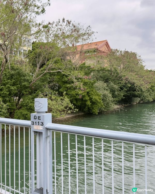 又係辣媽好介紹🤗